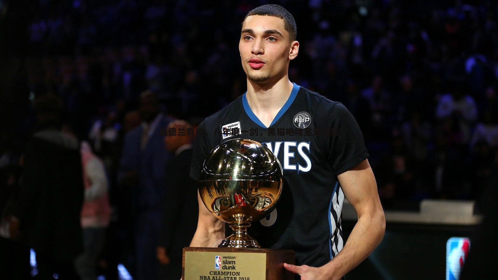 桑德兰奇迹，八年磨一剑，黑猫咆哮重返英超