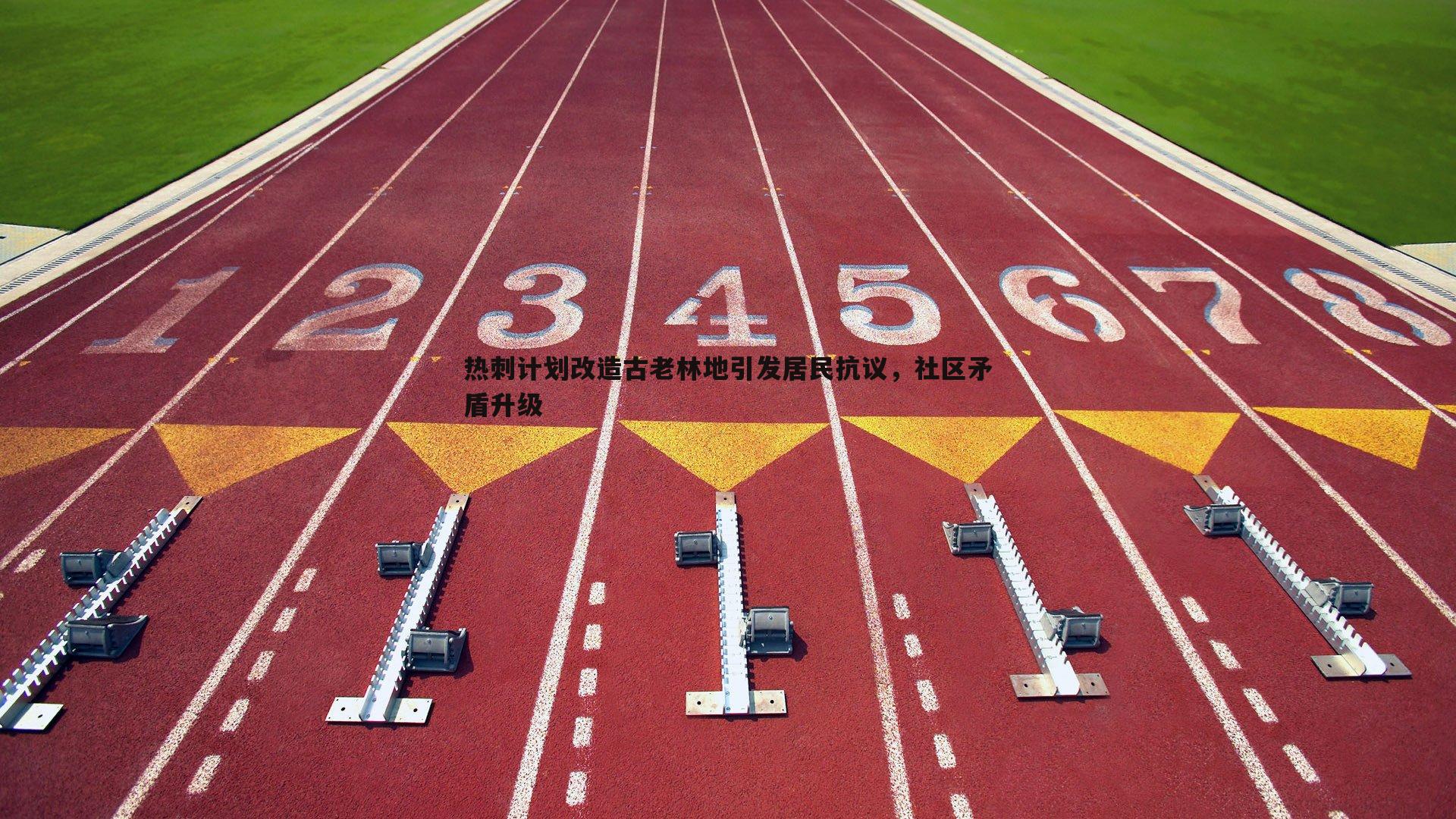 热刺计划改造古老林地引发居民抗议,社区矛盾升级