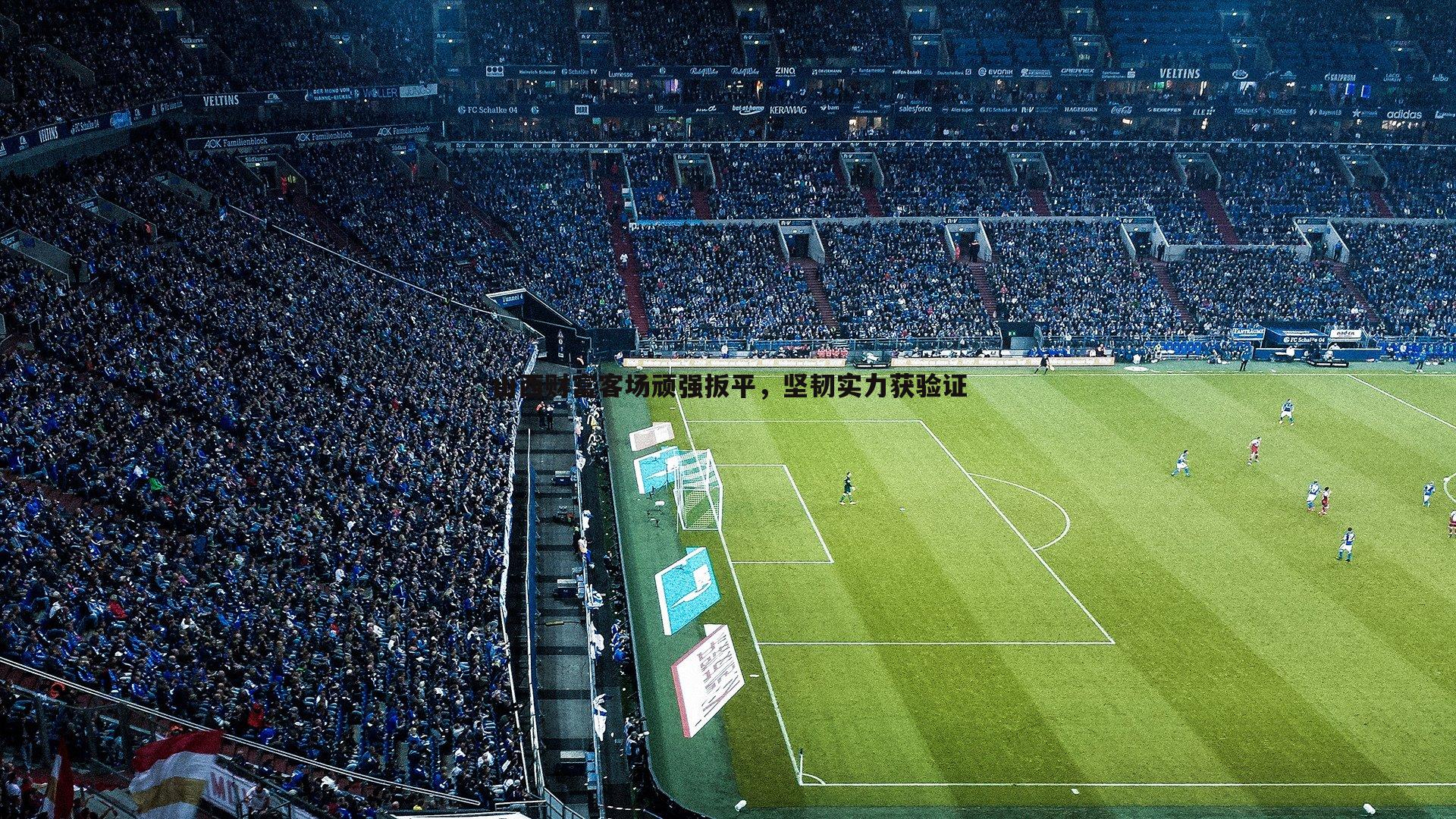 黑白直播官网-山西财富客场顽强扳平，坚韧实力获验证